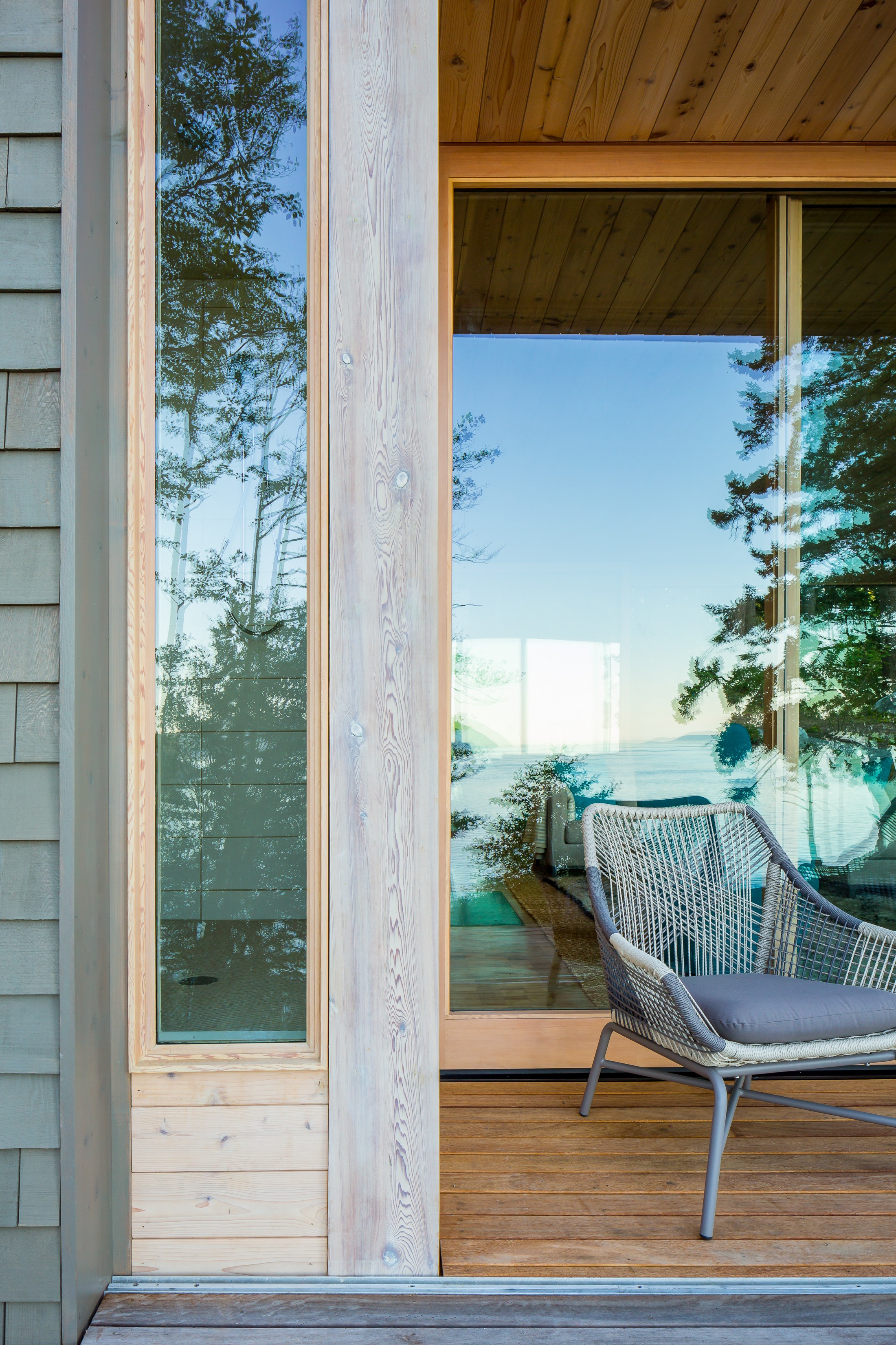 Lone madrone patio