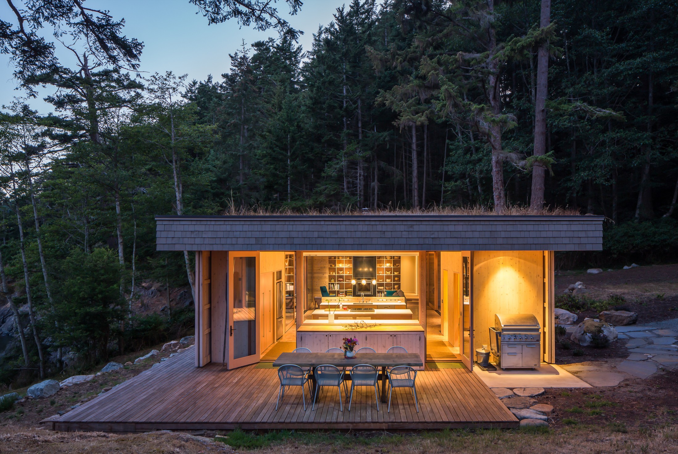 Lone madrone patio